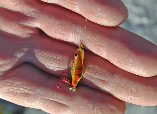 ice fishing reports mn december 2011 lindy rattling flyer