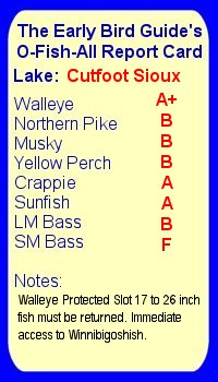 Fishing Report Card For Cutfoot Sioux