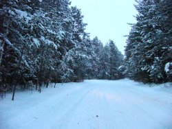 Snowy Road Minnesota 2008