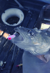 image of lindy live bait jig