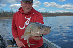 image of fishing guide jeff sundin with rainy river walleye