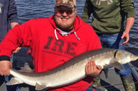 image of rainy river sturgeon