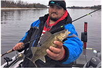 image of andy walsh with rainy river walleye