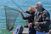 image of bev landing walleye for al standly