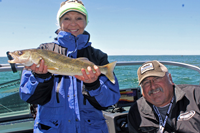 image of walleye on leech lake