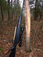 image of deer rifle
