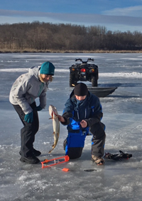 image of fishing for pike