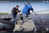 image links to perch fishing video