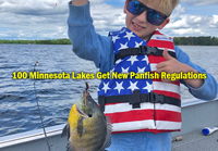 image links to MN DNR News Release about panfish regulations 