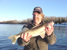 Bill Powell, owner of Fred's
        Bait holds a nice Walleye caught on the Rainy River