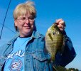 Bluegill, 9-21-06 Laura Bellin