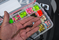 image of Lindy Live Bait Jig with night crawler