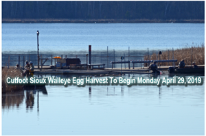 image of DNR Fisheries staff at Little Cutfoot