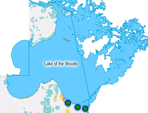 image of lake of the woods map
