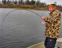 Sturgeon Fight