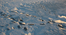 Ice Report Deer River Minnesota