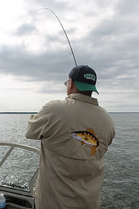 Dave Holmbeck Fishing Action