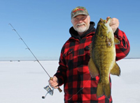 Smallmouth Bass Clusiau