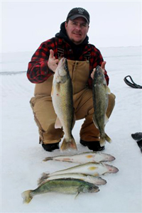 Lake Winnipeg Walleye