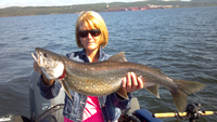 Lake Trout Lake Superior