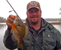 Pokegama Lake Bluegill