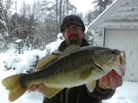 Scott Berndt Bass