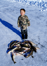 Johnny Stolp Walleyes On Ice