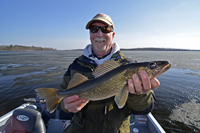 Walleye Caught On Cutfoot Sioux