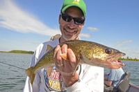 Walleye caught on Leech Lake