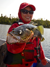 Walleye caught on Lake Kashabowie August 2013