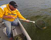 Fishing Guide Jeff Sundin Lands Leech Lake Walleye