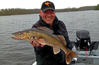 Walleye Caught On Leech Lake