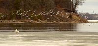 Mississippi River, West Winnie