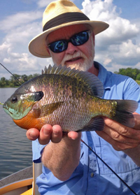 image of Greg Clusiau jolding big Blugill caught in Alexandria