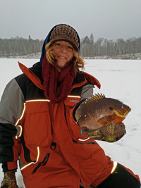 image of Bluegills on the ice