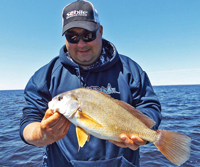 image of Upper Red Lake Sheephead