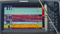 image of school of panfish on humminbird screen