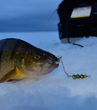 Ice Fishing Report Archive Minnesota January 2015
