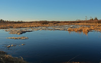 image of the deer river