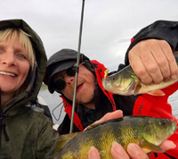 image of leech lake jumbo perch