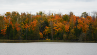 image of fall colors