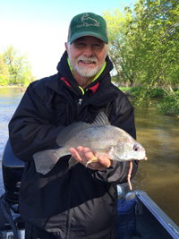 image of greg clusiau with nice sheephead