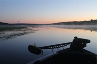 image sherrys arm lake pokegama