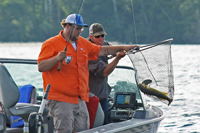 image of Tommy Cemensky netting big walleye