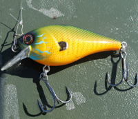 image of crankbait used to catch crappie