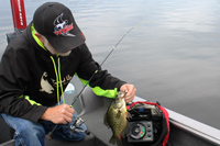 image of greg clusiau with big crappie