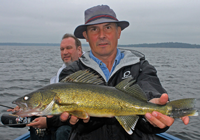 image of walleye caught on gull lake