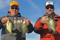 image of 2 men holding crappies