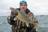 image of leech lake walleye