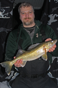 image of Steve Stelmack with Walleye on leech lake